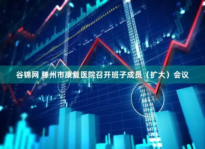 谷锦网 滕州市康复医院召开班子成员（扩大）会议
