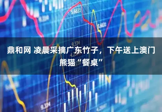 鼎和网 凌晨采摘广东竹子，下午送上澳门熊猫“餐桌”